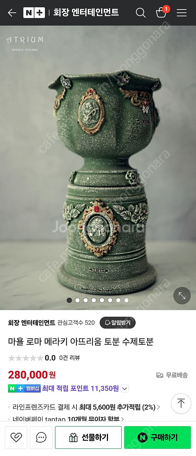 아뜨리움 토분 제라늄 희귀식물 두갸르송--3